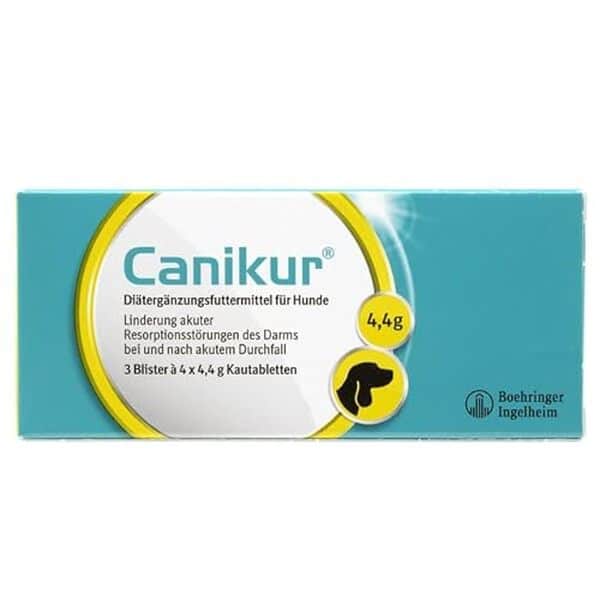 Découvrez notre examen détaillé des comprimés canikur, évaluant leur efficacité pour la santé digestive de votre animal. Conseils et avis d'experts.