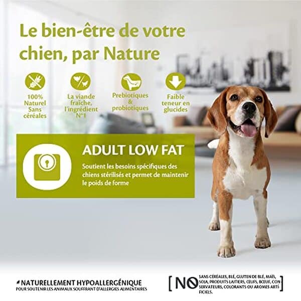 Découvrez notre analyse des croquettes Wellness CORE : un choix faible en graisses pour la santé optimale de votre chien