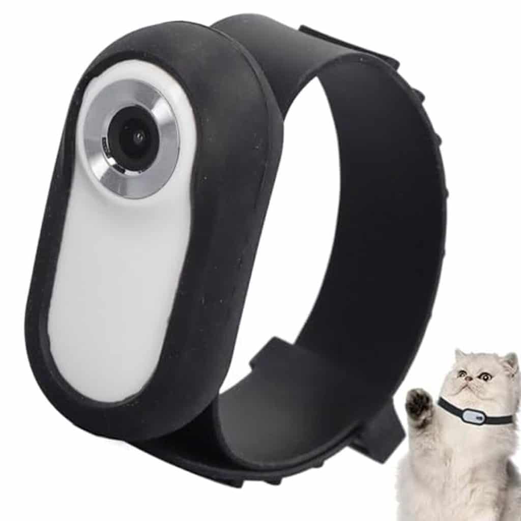 Avis : collier caméra Full HD pour animaux de compagnie, objectif grand angle 90°