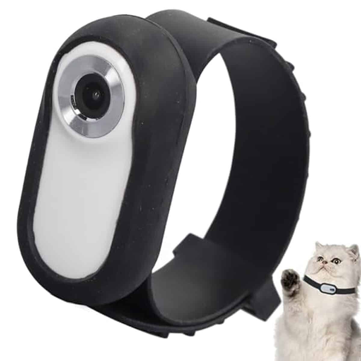 Avis : collier caméra Full HD pour animaux de compagnie, objectif grand angle 90°