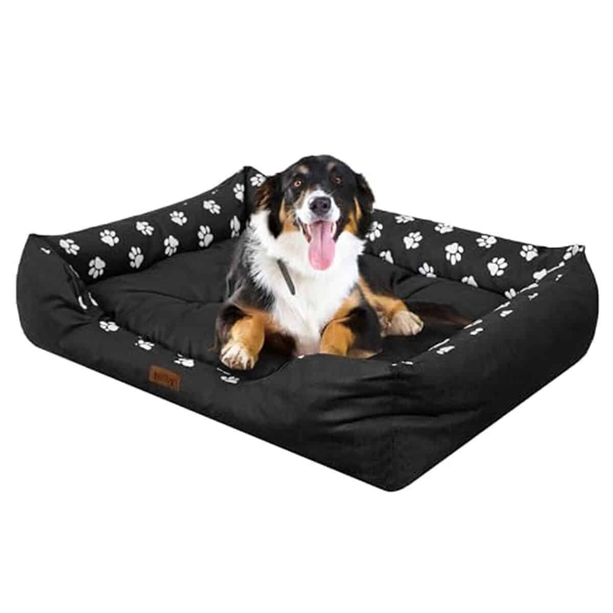 Test : coussin DOGGY XL pour grands chiens