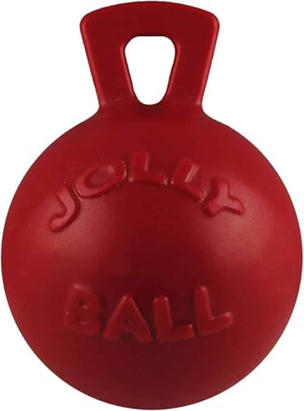 Test de la balle Bounce and Play taille M de Jolly Pets