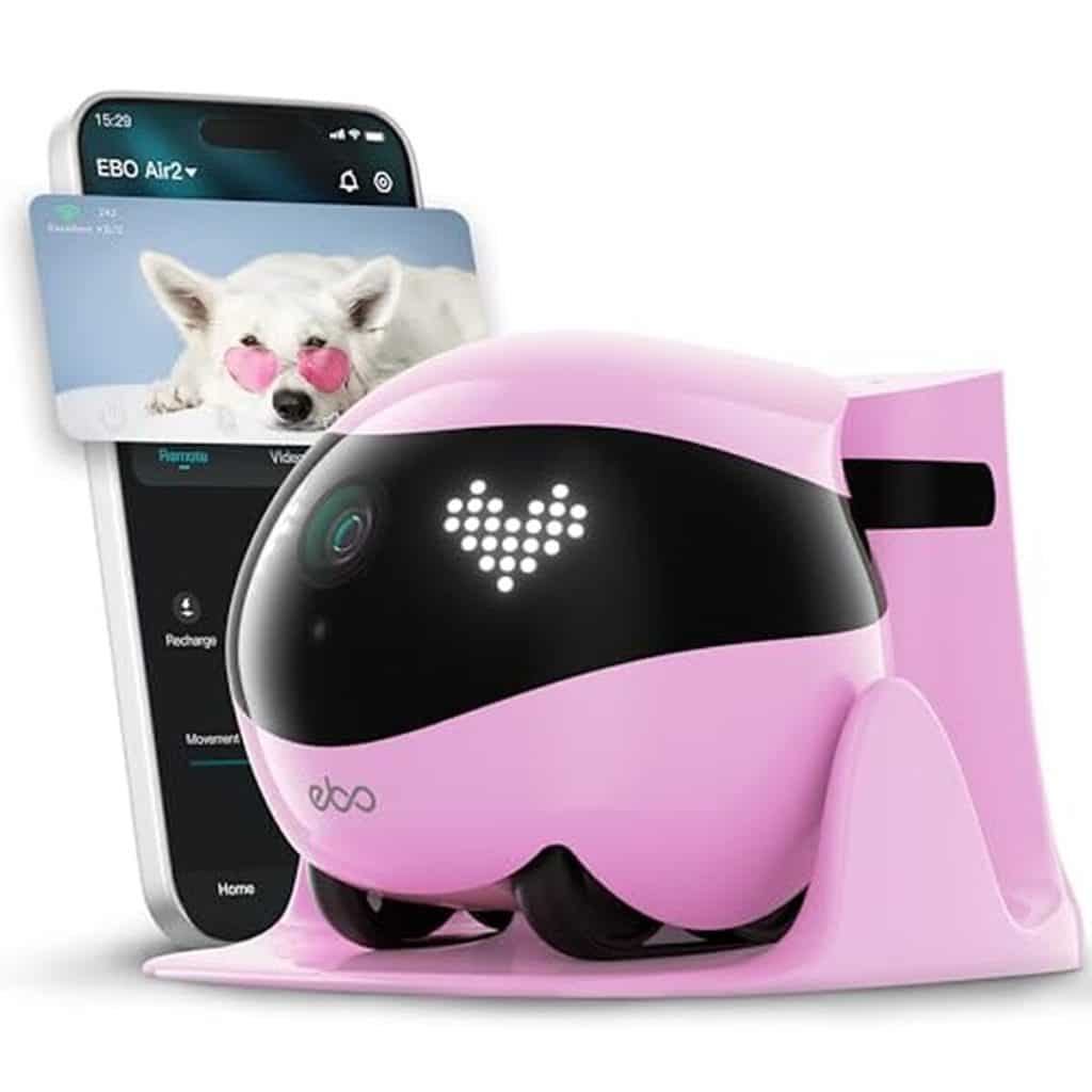 Test de la caméra mobile Enabot EBO Air 2 2K pour animaux