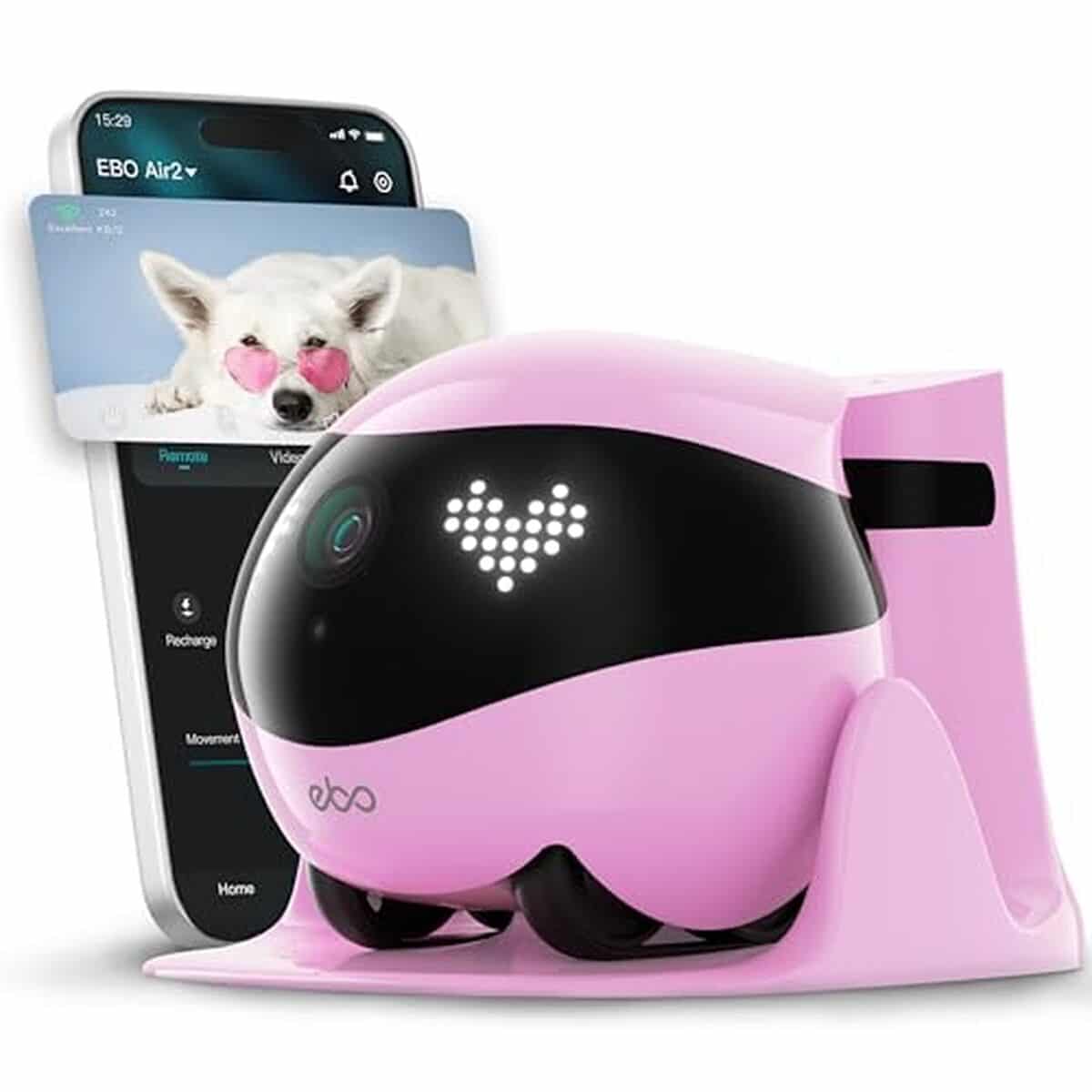 Test de la caméra mobile Enabot EBO Air 2 2K pour animaux