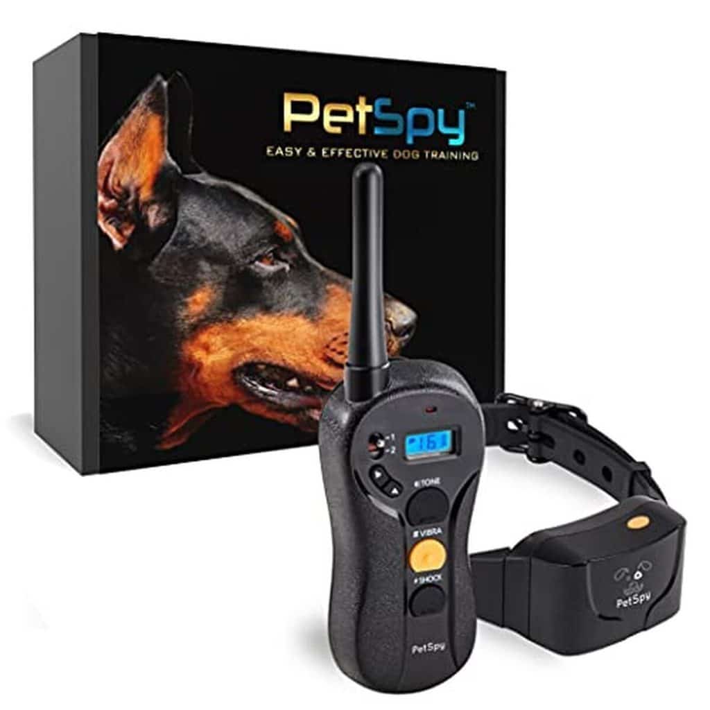 Test du collier PetSpy P620 : dressage sans faille pour vos chiens