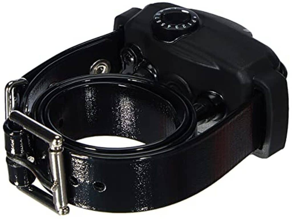 Test du collier-récepteur Dogtra YS 600 pour chien