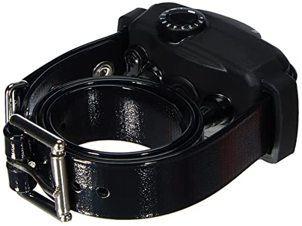 Test du collier-récepteur Dogtra YS 600 pour chien