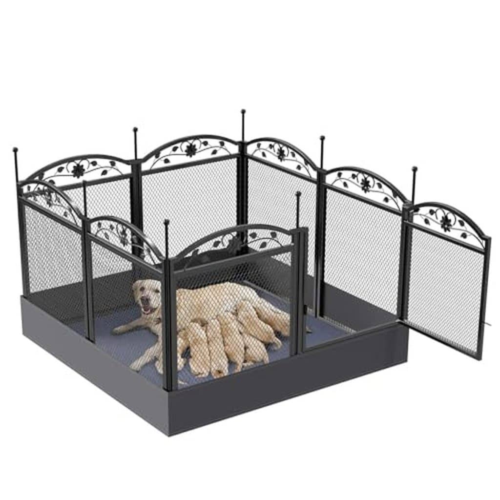 Test du parc intérieur XXL BingoPaw : enclos pliable pour animaux