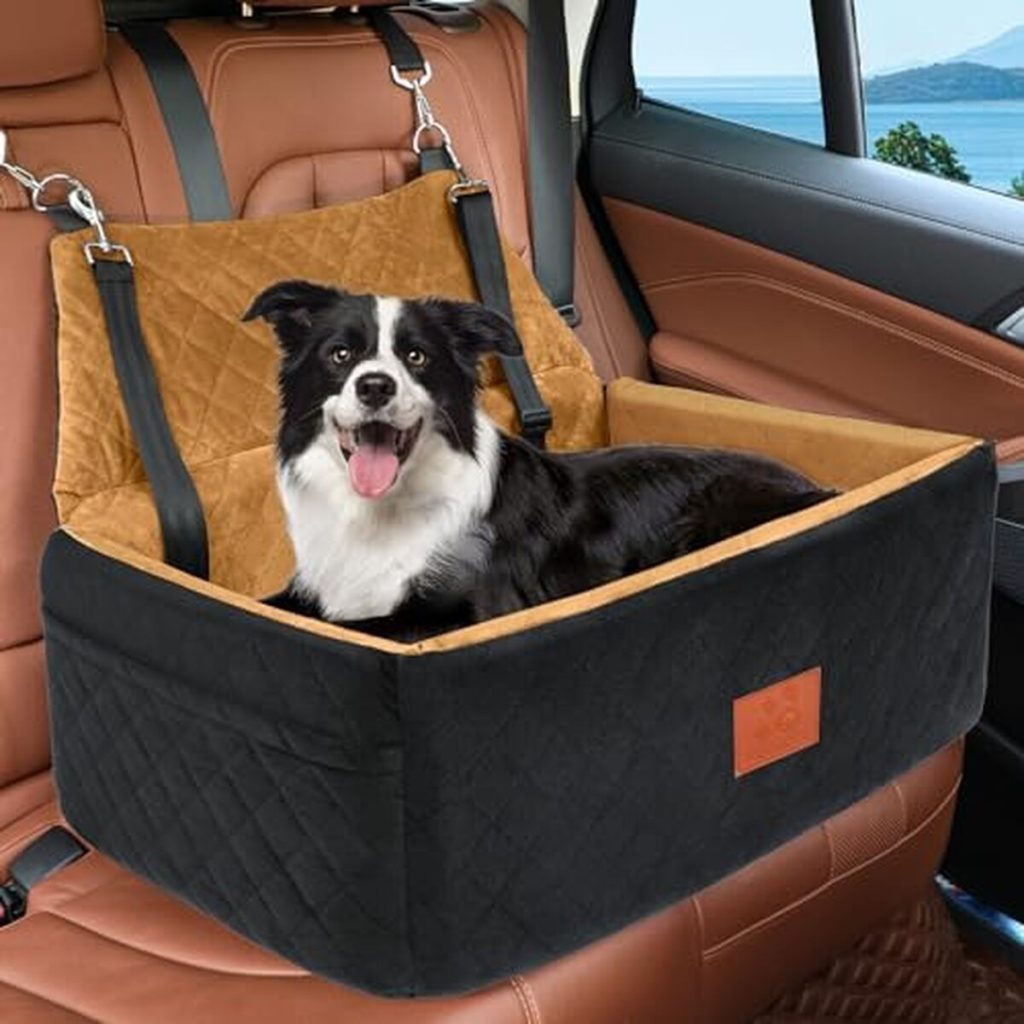 Test du siège auto HEGCOIIE pour chiens jusqu'à 25 kg : confort et sécurité