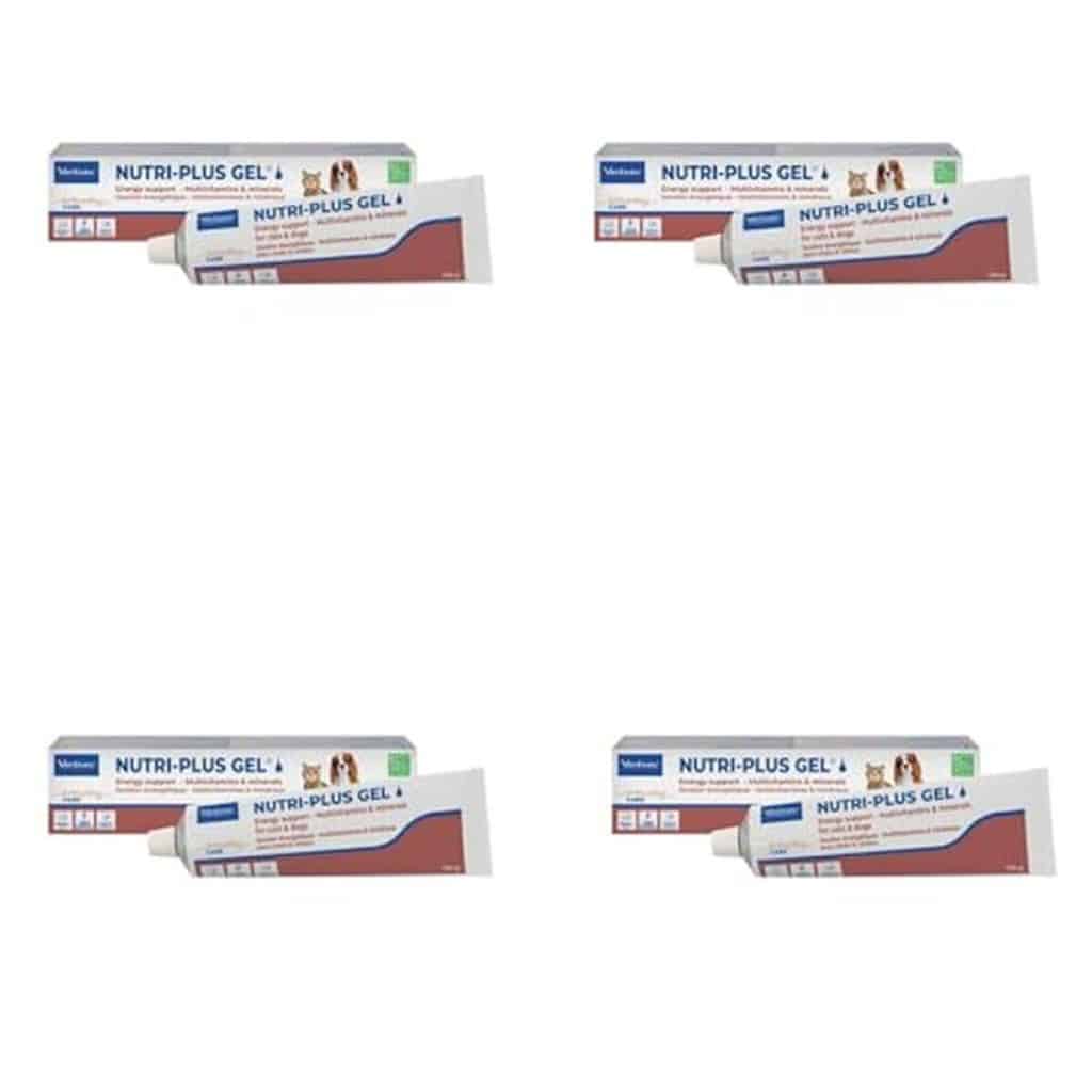 Test du Virbac Nutri-Plus Gel : énergie pour animaux convalescents