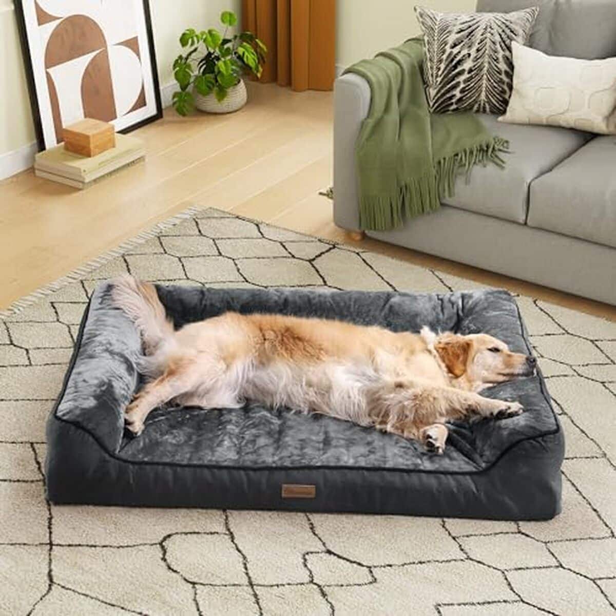 Test : yITAHOME panier orthopédique pour chien noir 135x107 cm