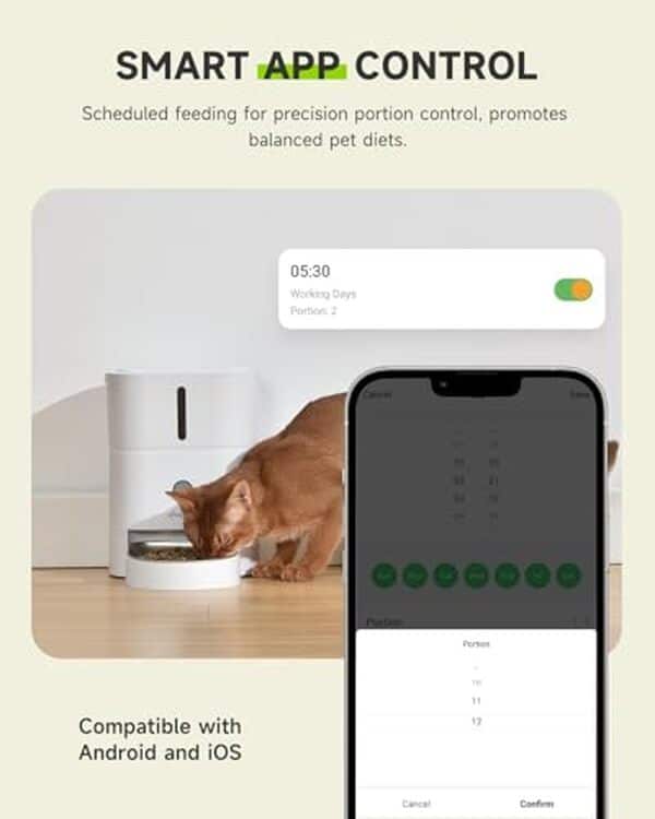 Découvrez notre test complet du distributeur de croquettes Apetdola 3L : un appareil connecté qui simplifie l'alimentation de votre animal de compagnie. Fonctions et avantages détaillés pour chats et chiens.