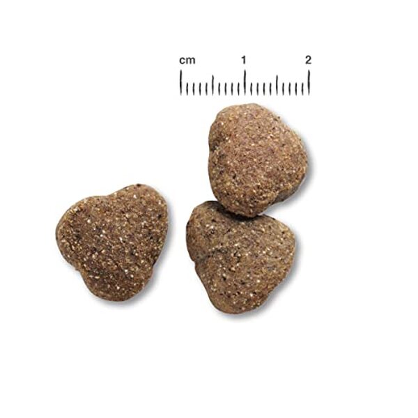 Découvrez notre analyse complète des croquettes sans céréales Belcando GF Poultry, parfaites pour les chiens à la digestion sensible. Avantages, ingrédients et recommandations.