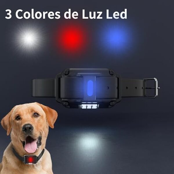 Découvrez notre test détaillé du collier de dressage Meloive : rechargeable, résistant et idéal pour un dressage efficace et sans stress.