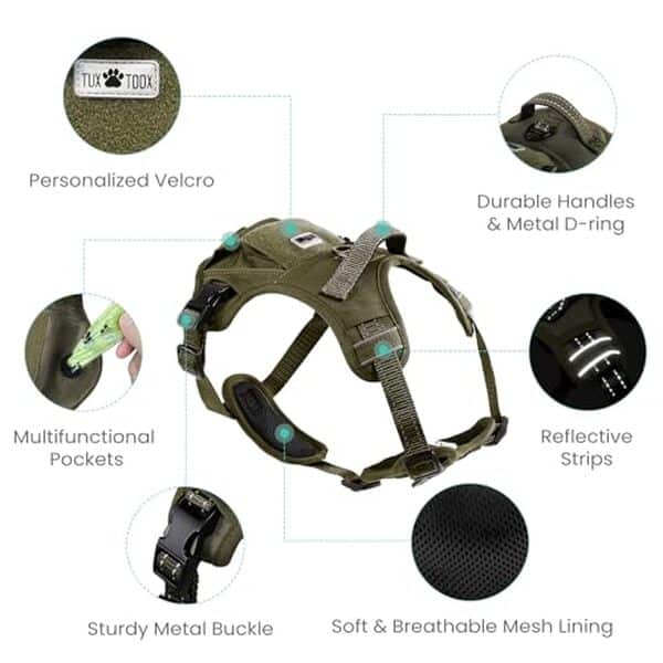 Découvrez notre test détaillé du harnais Tuxtoox anti-étranglement pour chiens, alliant sécurité et contrôle facile pour des promenades sereines et confortables