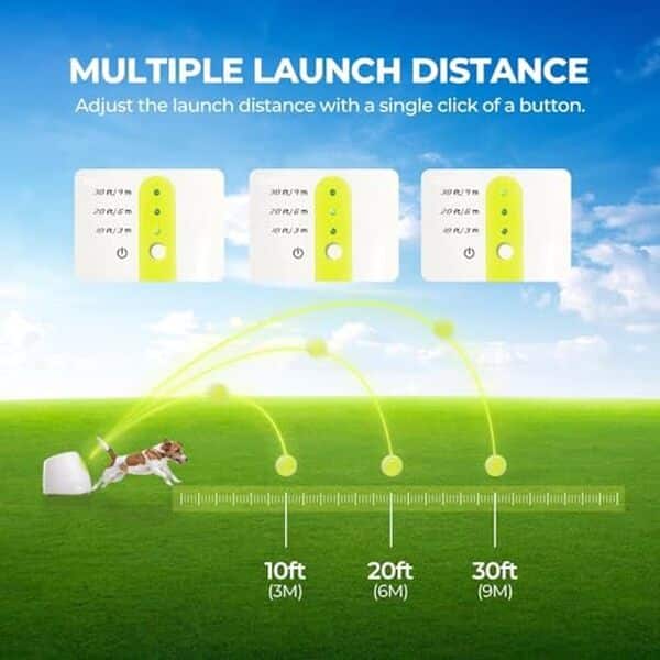 Découvrez notre test détaillé du lanceur de balles automatique All for Paws pour offrir à votre chien des heures de jeu et de divertissement sans effort.