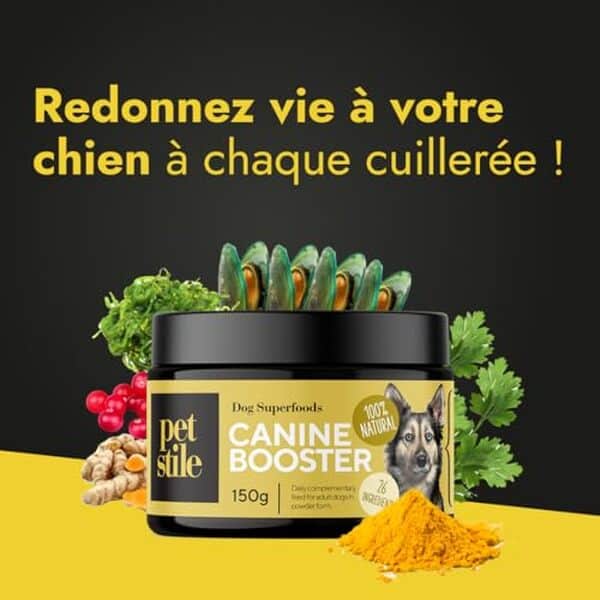 Découvrez les bienfaits du complément alimentaire Petstile Canine Booster pour la santé et le bien-être des chiens adultes. Améliorez leur vitalité avec une formule unique et efficace.