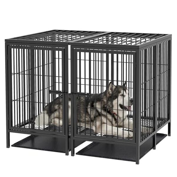 Découvrez notre test complet de la cage chien XXL avec diviseur et double plateaux : avis, avantages et conseils pour bien choisir l'enclos idéal pour votre grand chien. 