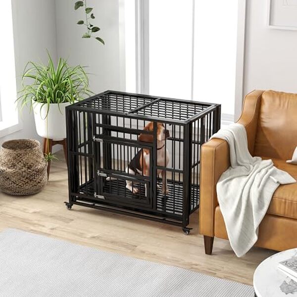 Découvrez notre test détaillé de la cage PawHut sur roulettes pour grands chiens : praticité, solidité et confort pour votre animal de compagnie.