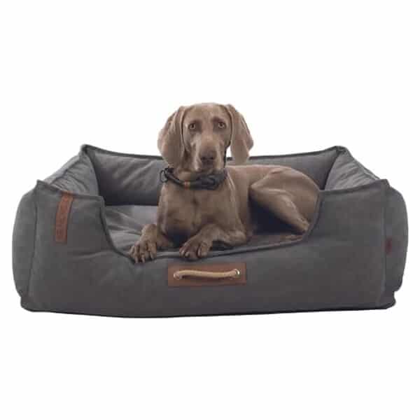 Découvrez notre test complet du lit pour chien Trixie Be Nordic 80 × 60 cm : design scandinave, confort et durabilité pour votre animal de compagnie. 