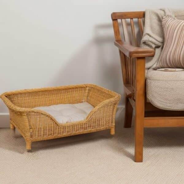 Découvrez notre avis complet sur le panier pour chien en rotin miel avec coussin : confort, qualité et design pour le bien-être de votre animal de compagnie. 