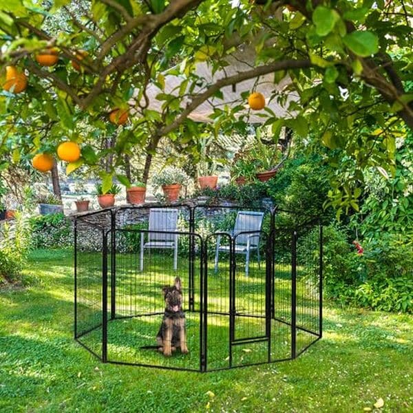 Découvrez notre avis complet sur le parc XXL Relaxdays : l'enclos idéal pour les chiots et petits chiens avec ses avantages, inconvénients et conseils d'utilisation. 