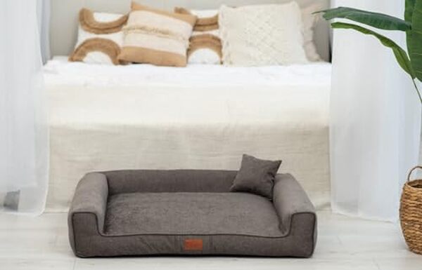 Découvrez le canapé pour chien Sofi XXL avec sa housse lavable et son revêtement antidérapant. Avis complet et caractéristiques du lit premium pour grand chien. 