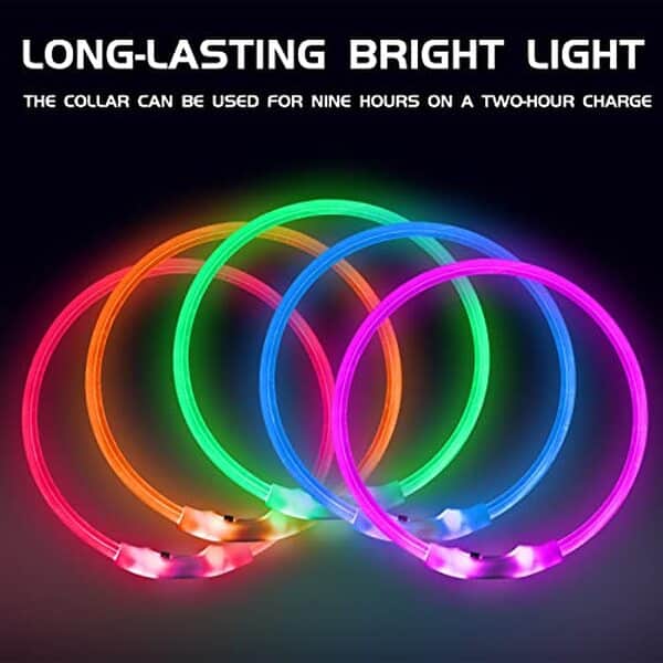 Découvrez notre avis complet sur le collier lumineux Larkumio LED vert pour chien : sécurité garantie, visibilité nocturne et design élégant pour votre animal de compagnie. 