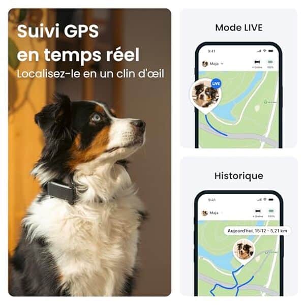 Découvrez le collier GPS Tractive 2026 : localisation précise de votre chien, alertes connectées et suivi en temps réel. Test complet et avis détaillé. 