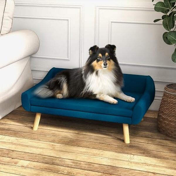 Découvrez notre avis détaillé sur le canapé scandinave PawHut pour chien et chat : confort, qualité et design. Guide d'achat et conseils. 