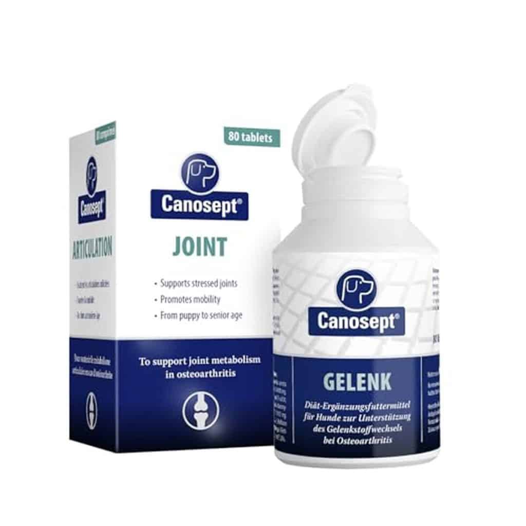 Test : comprimés Canosept pour articulations de chiens