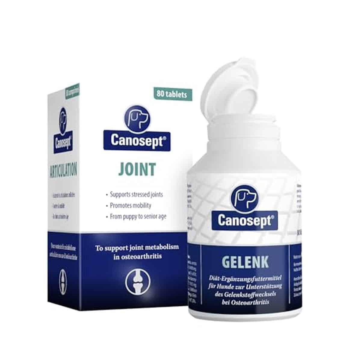 Test : comprimés Canosept pour articulations de chiens