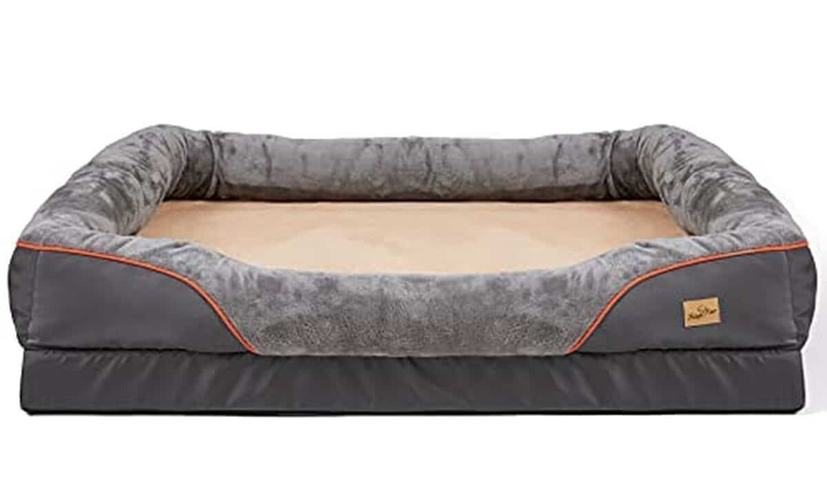 Test : coussin orthopédique déhoussable BingoPaw pour chien - grande taille XXXL