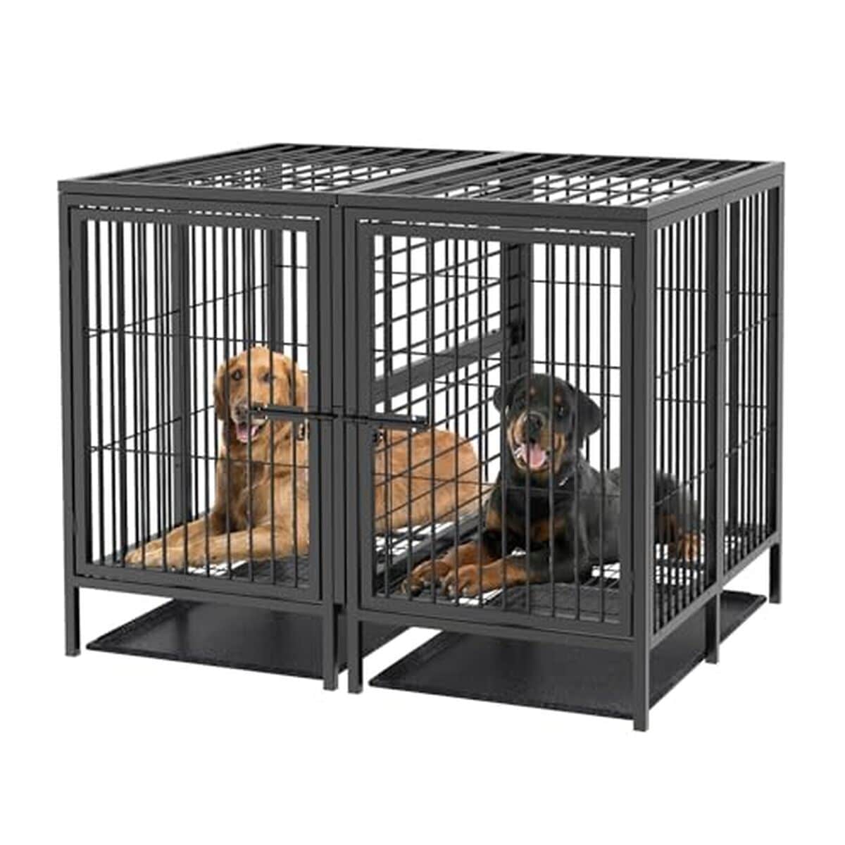 Test de la cage chien XXL avec diviseur et double plateaux