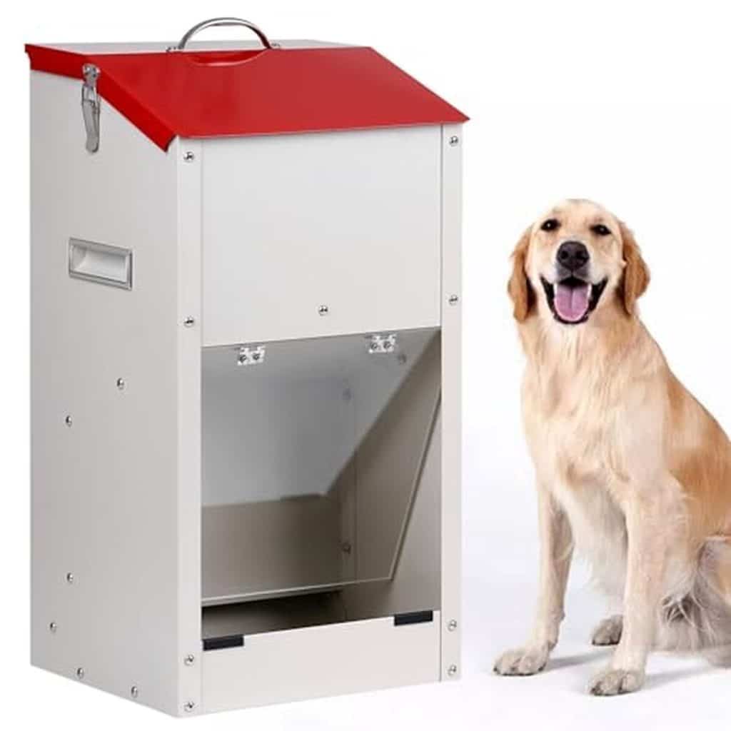 Test de la mangeoire automatique KHEARPSL pour grands chiens