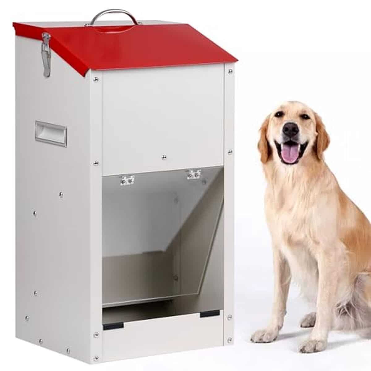 Test de la mangeoire automatique KHEARPSL pour grands chiens