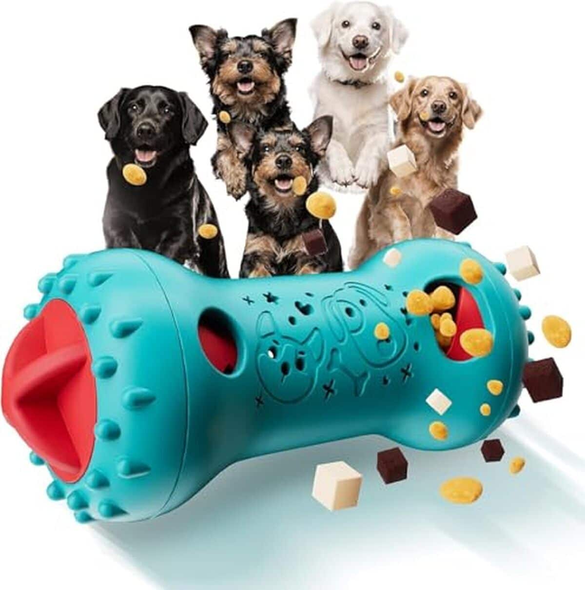 Test des jouets puzzle distributeurs pour chiens : stimulation cérébrale et dressage du QI