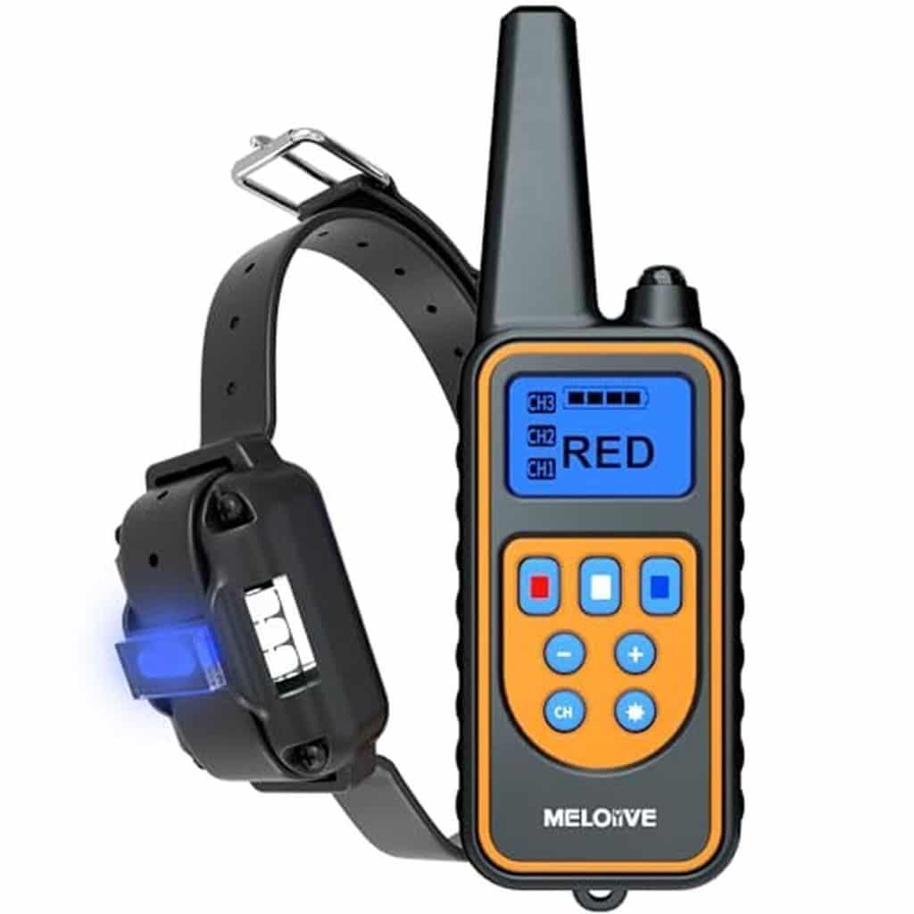 Test du collier de dressage Meloive : rechargeable et résistant