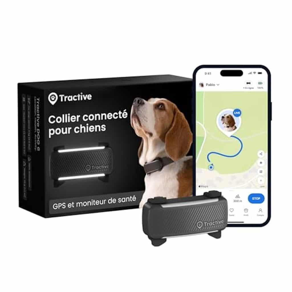 Test du collier GPS pour chien Tractive 2026 : localisation et alertes connectées