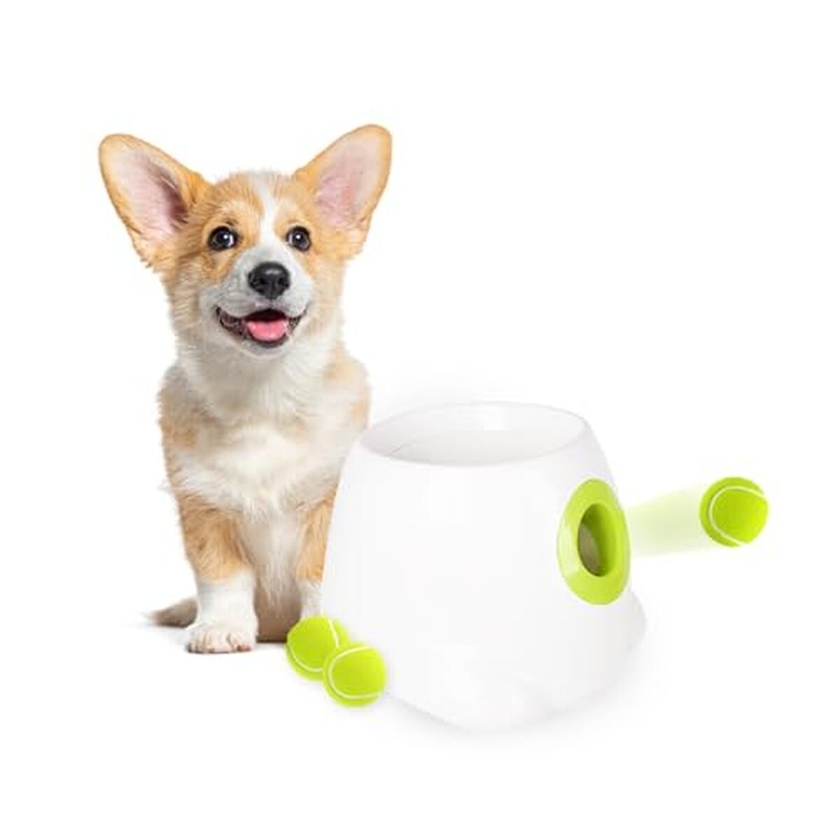 Test du lanceur de balles automatique All for Paws pour chiens