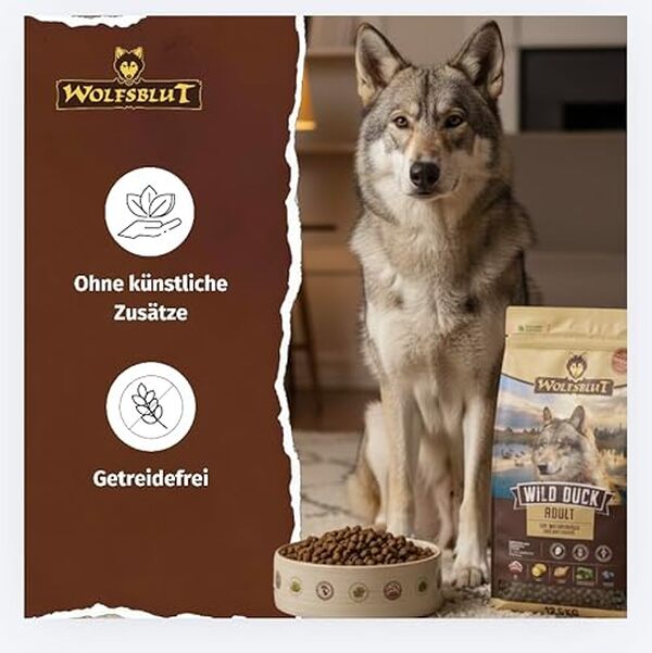 Découvrez notre avis détaillé sur les croquettes Wolfsblut Wild Duck : une alimentation premium pour chiens gourmet avec canard frais et ingrédients naturels. 