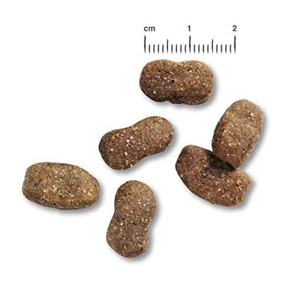 Découvrez notre test détaillé des croquettes Belcando adult Iberico & rice en format 2 x 12, 5 kg : composition, avantages et avis pour nourrir votre chien au mieux. 