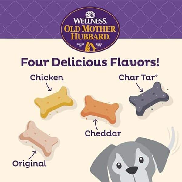 Découvrez notre test complet des friandises Old Mother Hubbard classic crunchy en grand format : qualité, saveurs et avis détaillé pour vos chiens. 