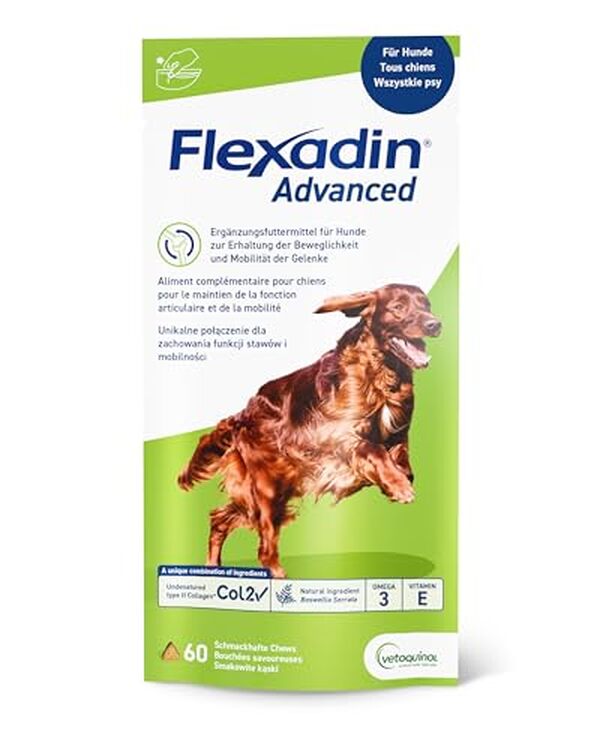 Découvrez notre test complet de Flexadin Advanced chews pour chiens. Efficacité prouvée pour la santé articulaire, avis clients et conseils d'utilisation inclus. 