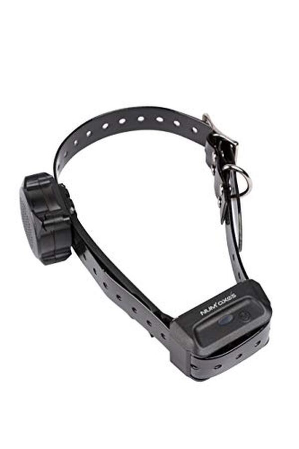 Découvrez notre test détaillé du collier éducatif num'axes Canicom Voice 200 : fonctionnalités, avantages et résultats pour l'éducation canine. 