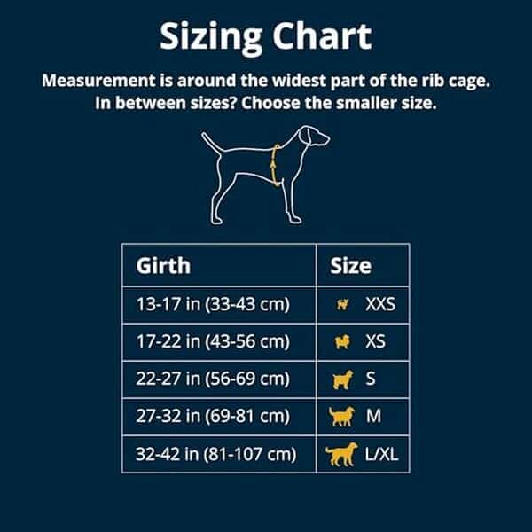 Découvrez notre test détaillé du harnais multi-usage Ruffwear Web master : polyvalence, sécurité et confort pour votre chien. 
