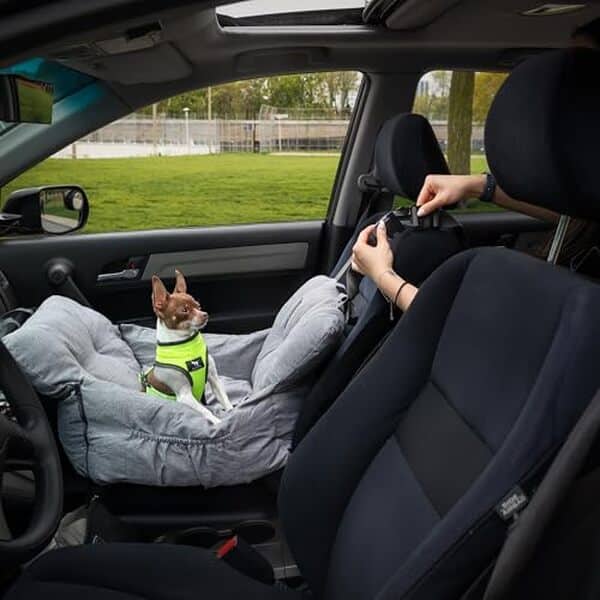 Découvrez notre test détaillé du siège auto JACKO & CO pour petits animaux de moins de 15, 9 kg. Confort, sécurité et praticité analysés.