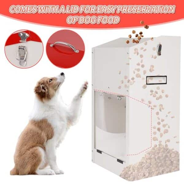 Découvrez notre test complet de la mangeoire automatique HHNIULI pour grands chiens : fonctionnalités, avantages et avis détaillé pour bien nourrir votre animal. 
