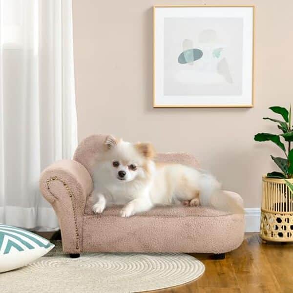 Découvrez notre test complet du canapé surélevé PawHut pour chien : confort optimal, rangement intégré et qualité. Avis détaillé et conseils d'achat. 