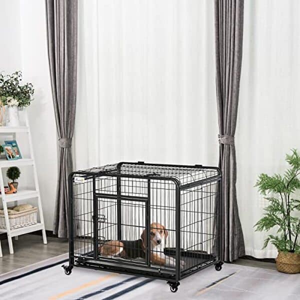 Découvrez notre test complet de la cage pliable PawHut : une solution de transport pratique, légère et équipée de roulettes pour vos déplacements avec votre chien. 